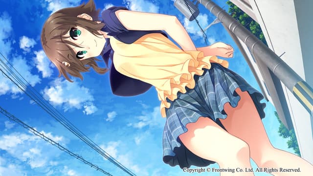 Himawari: The Sunflower