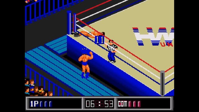 Thunder Pro Wrestling Retsuden