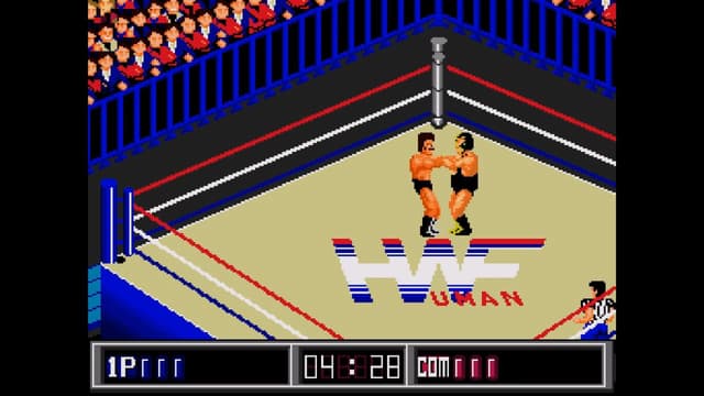 Thunder Pro Wrestling Retsuden