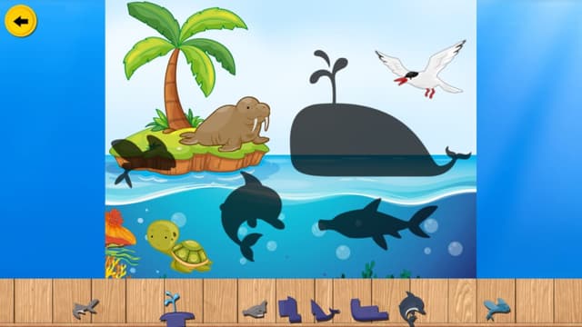 Aqua Puzzle Adventures