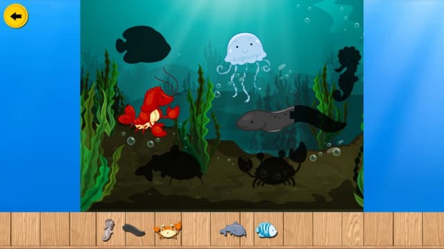 Aqua Puzzle Adventures